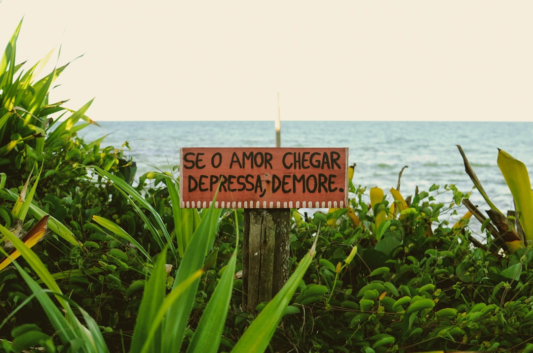 a sign on a wooden post in front of a body of water — Foto por Linoleum Creative Collective na Unsplash