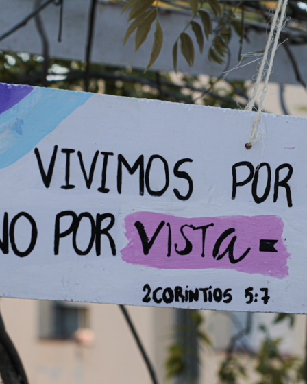 a sign hanging from the side of a tree — Foto por Iván Mezzetti na Unsplash