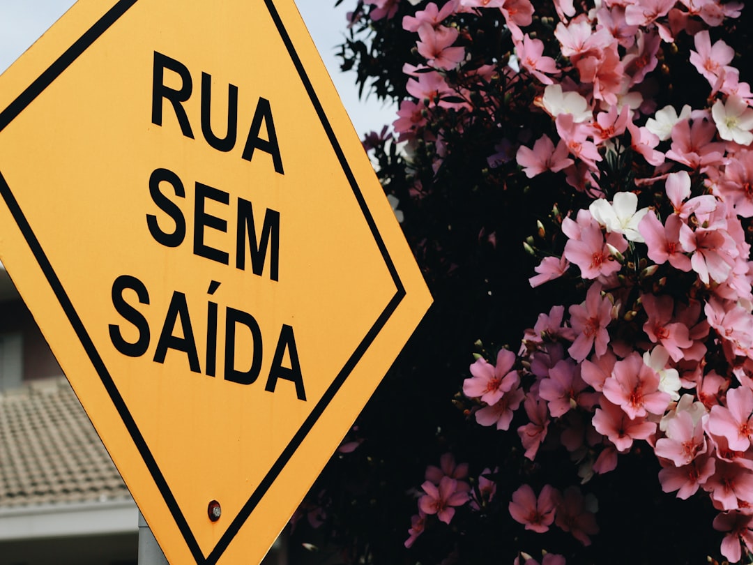 Quem visita suas redes com mais frequência