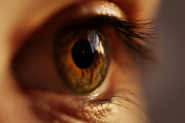 yellow and gray eyeball — Foto por Marc Schulte na Unsplash