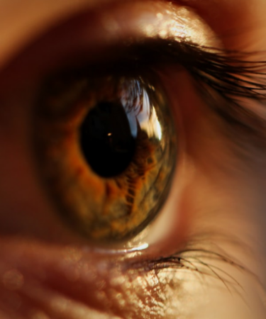 yellow and gray eyeball — Foto por Marc Schulte na Unsplash