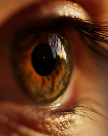 yellow and gray eyeball — Foto por Marc Schulte na Unsplash
