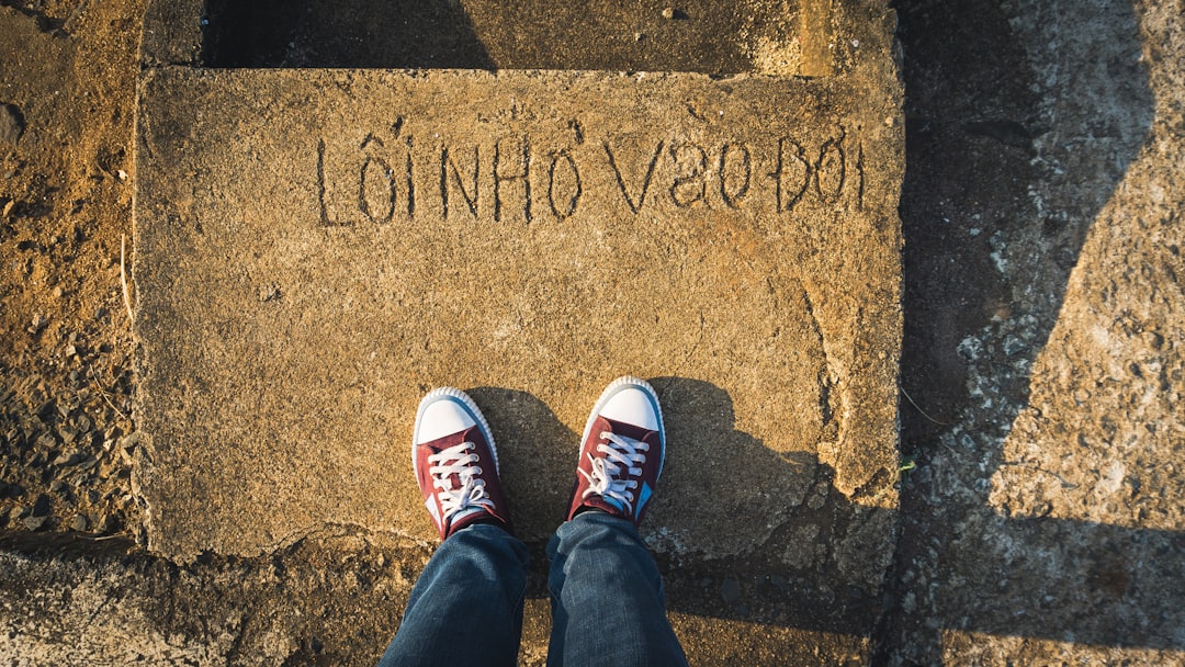 Descubra quem acompanha suas redes com mais frequência