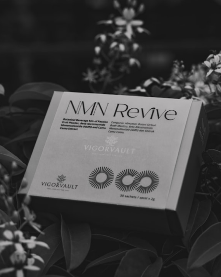 A sign that is sitting in the middle of a bush — Foto por Zemos na Unsplash