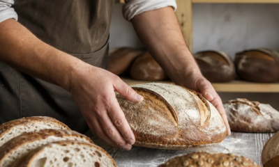 Receitas de pão artesanal profissional para padeiros experientes